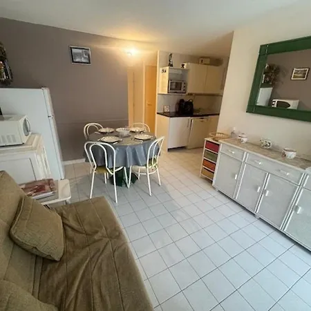 T2 Cabine, Piscine, Parking, Pres Cap D'agde - Fr-1-749-76